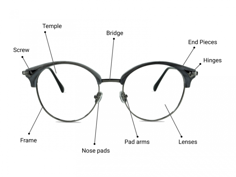 Different Parts of Glasses